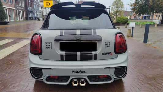 Mini cooper striping