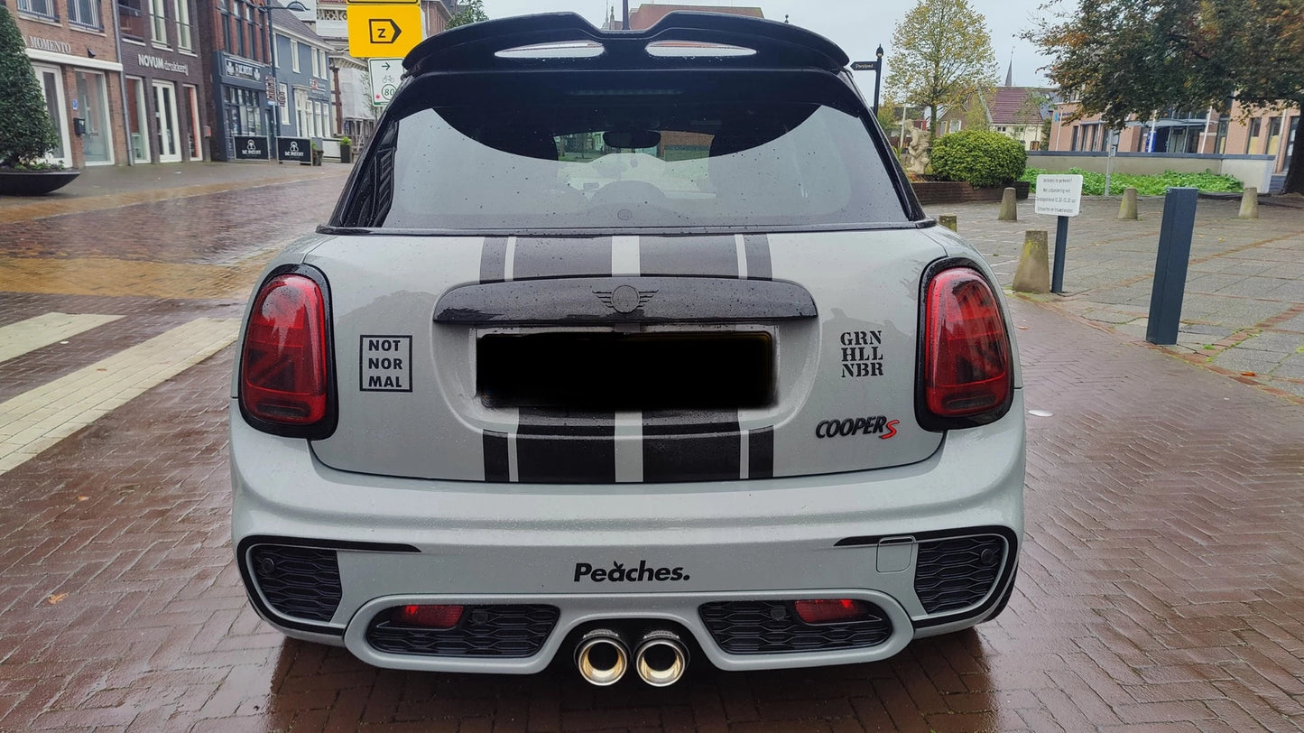 Mini cooper striping